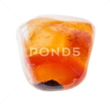 Tumbled carnelian (cornelian) gemstone on white Stock Photos