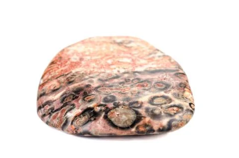 Tumbled leopard skin jasper Stockfoto's