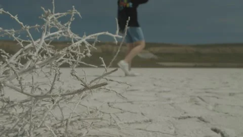 Tumbleweed in the desert SLOWMOTION Stock Footage 158388995