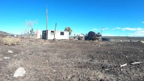 Tumbleweed Stock Footage 288620698