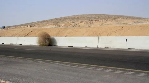 Pictures We Love: Invasion of the Tumbleweeds