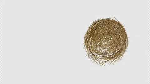 Tumbleweed rotating passing side to side of the screen on alpha animation. 動画素材 320023392