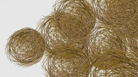 Tumbleweeds rolling Transition Alpha Transparent Background. Video stock 320023478