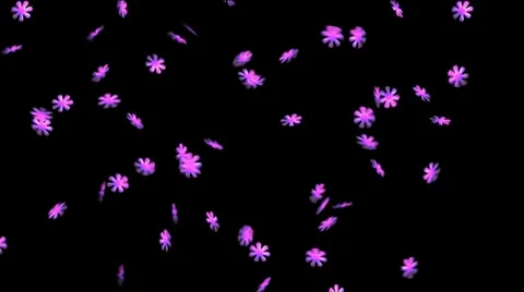 Tumbling Purple Flowers Stock Footage 8506572