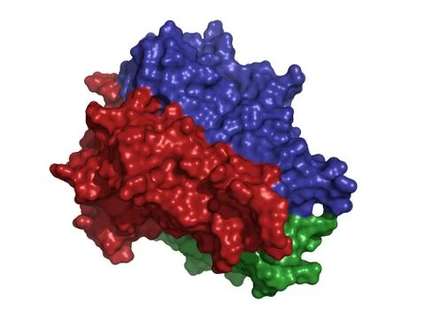 Tumor necrosis factor (tnf, cachexin, cachectin), chemical structure Stock Illustration