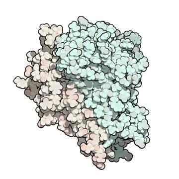 Tumor necrosis factor (tnf, cachexin, cachectin), chemical structure Stock Illustration
