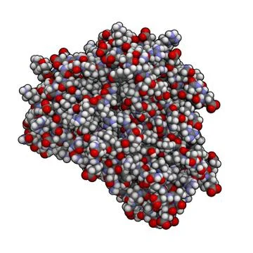 Tumor necrosis factor (tnf, cachexin, cachectin), chemical structure Stock Illustration