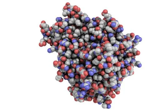 Tumor necrosis factor (tnf, cachexin, cachectin) protein Stock Illustration