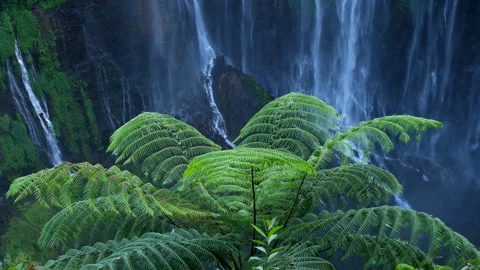 Tumpak Sewu waterfall close up view, East Java, Indonesia Stock Footage 248780902