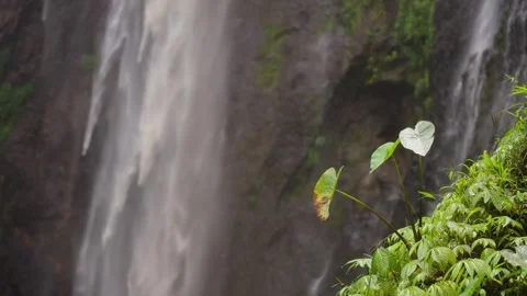 Tumpak Sewu Waterfall Java Indonesia Tight Plant Video stock 305117105