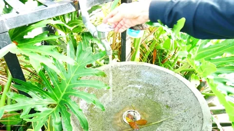 TUN OFF WATER FAUCET Stock Footage 227144403