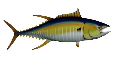 Tuna - 3D render Stock Illustration