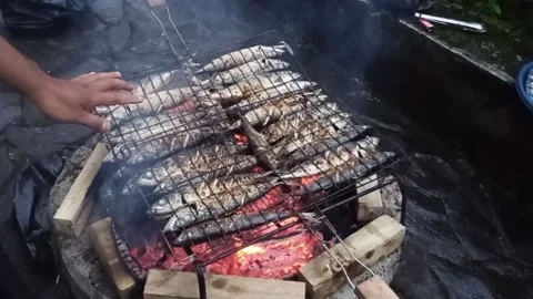 Tuna cooked on the grill Stock Footage 212495219