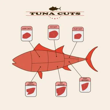 Tuna CS6 Stock Illustration