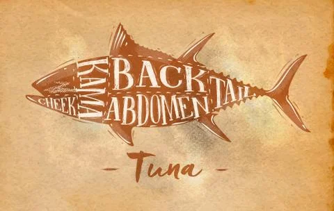 Tuna cutting scheme craft Stock Illustration