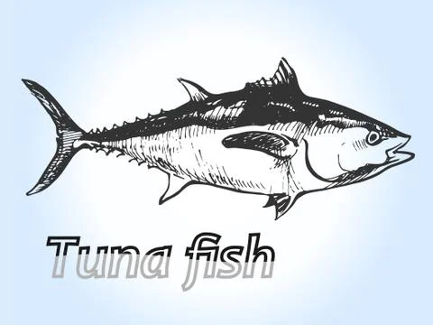 Tuna fish engraving Stock Illustration