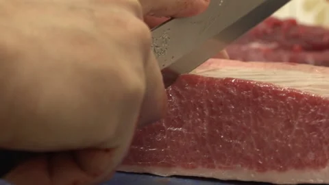Tuna Fish Stock Footage