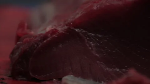 Tuna Fish Stock Footage 147590385
