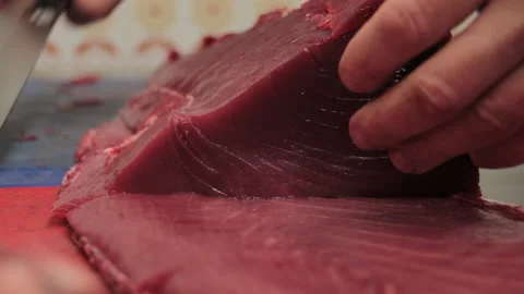 Tuna Fish Stock Footage 147590590