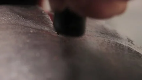 Tuna Fish Stock Footage 147590825