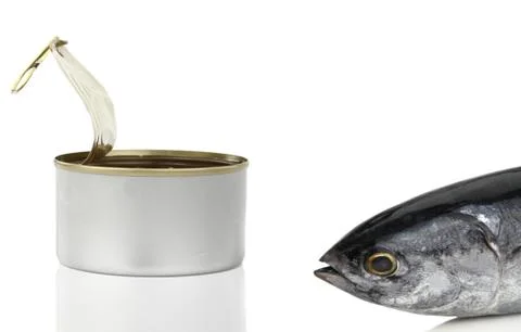 Tuna fish in front of the can Stock Photos