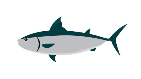 Tuna Fish Icon Vector Illustration Isolated on White Background for Graphic Stock Footage 345931107