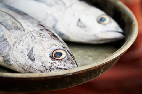 Tuna fish Stock Photos