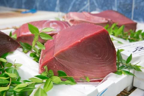 Tuna fish Stock Photos