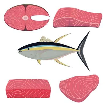 Tuna fish in section, color vector isolated illustration Stock Illustration