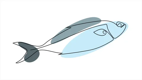 Tuna Stock Footage 301806711