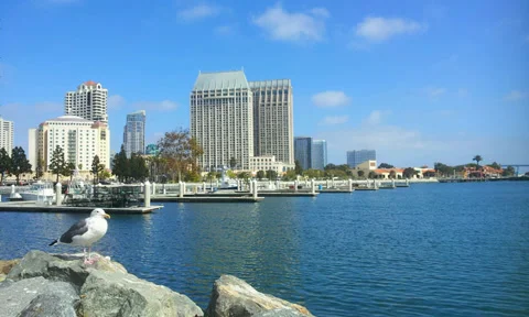 Tuna Harbor Vidéo 30443158