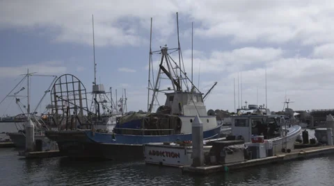 Tuna Harbor Pan2 Vidéo 31746348