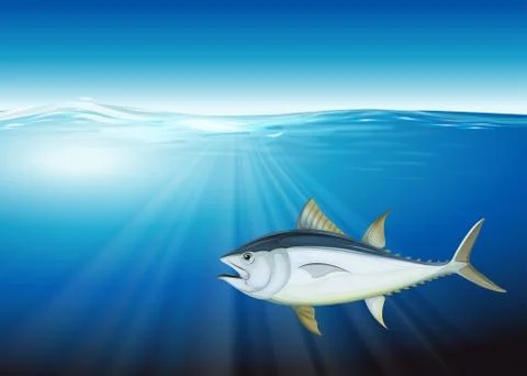Tuna Stockillustratie