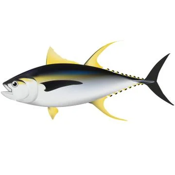 Tuna Illustrazione stock