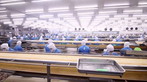 TUNA LINE PRODUCTION Video stock 156114577