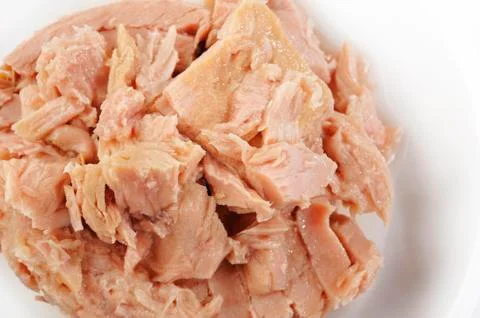 Tuna Stock Photos