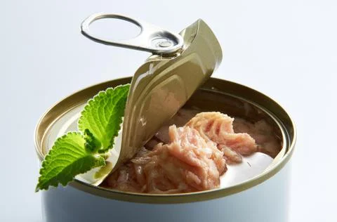 Tuna piled up on a white background Stock Photos