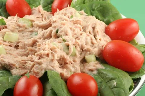 Tuna salad Stock Photos