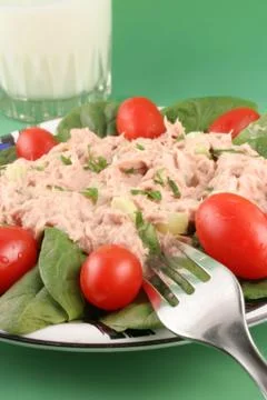 Tuna salad Stock Photos