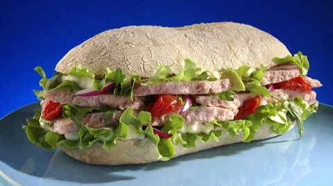 A tuna sandwich Stock Footage 8571743