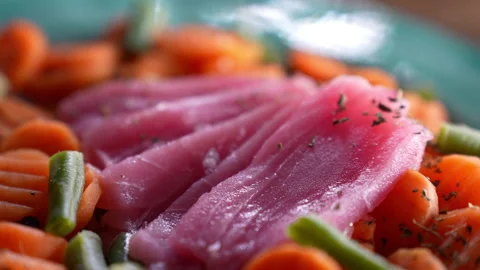 Tuna sashimi with vegetable garnish Vidéo 238612322