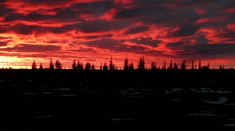 Tundra 101106 37 Stock Footage 952337