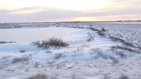 Tundra 2 Stock-Footage 9911776