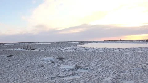 Tundra 3 Stock Footage 9911614