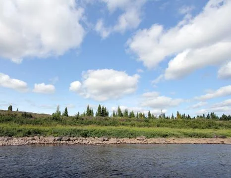 Tundra background Foto stock