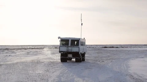 Tundra buggy Video stock 122257662