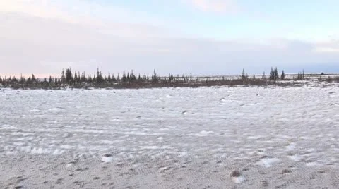 Tundra Stock Footage 9910742