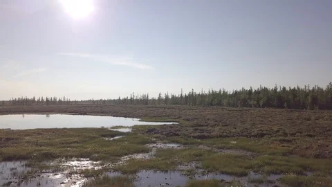 Tundra Stock Footage 108387007
