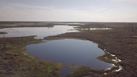 Tundra Stock Footage 108387051