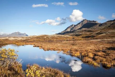 Tundra pond reflections in fall Stock Photos